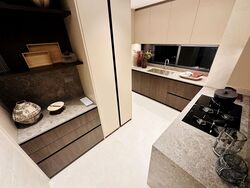 Upperhouse At Orchard Boulevard (D10), Apartment #455399701